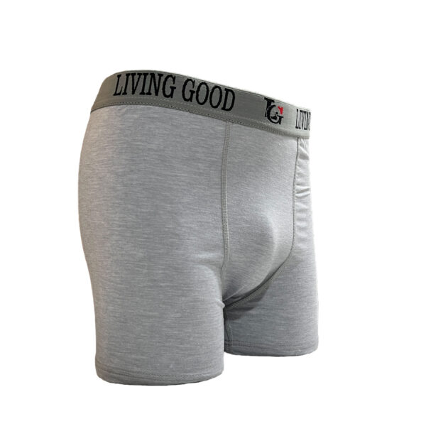 Men’s Boxers Brief - Image 3