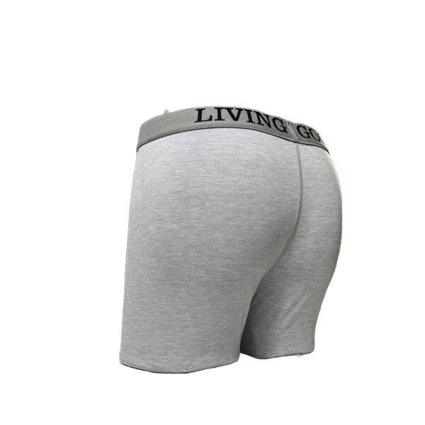 Men’s Boxers Brief - Image 2