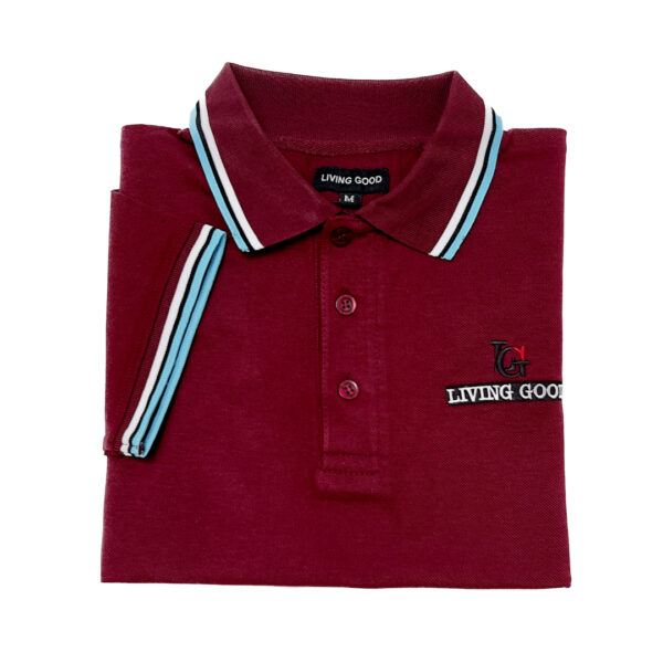 Polo - Image 3