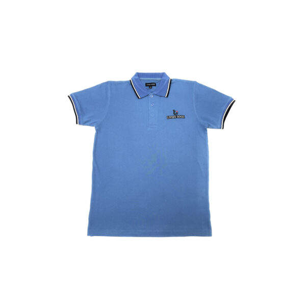 Polo - Image 13