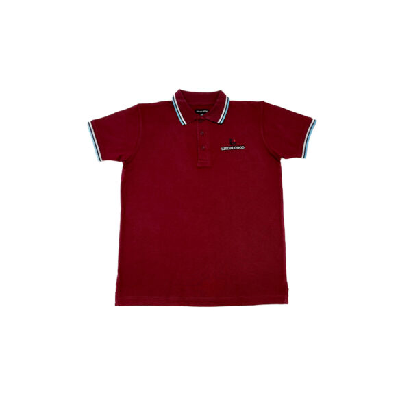 Polo - Image 9
